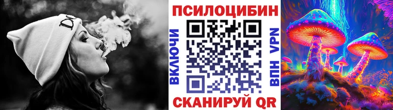 Купить  Дмитриев  Галлюциногенные грибы ЛСД 